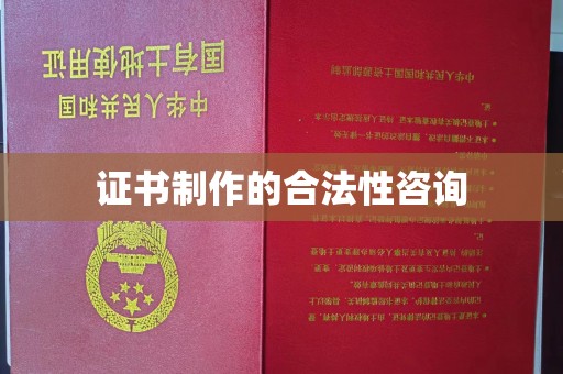 孙吴证书制作的合法性咨询