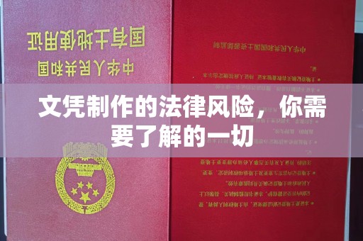 孙吴文凭制作的法律风险，你需要了解的一切