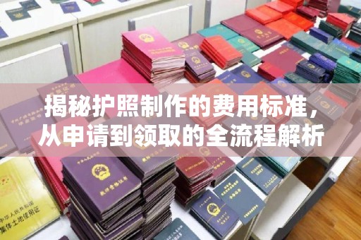 孙吴揭秘护照制作的费用标准，从申请到领取的全流程解析