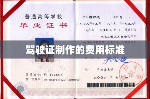 孙吴驾驶证制作的费用标准