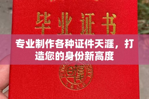 孙吴专业制作各种证件天涯，打造您的身份新高度