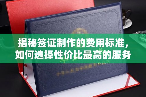 孙吴揭秘签证制作的费用标准，如何选择性价比最高的服务？