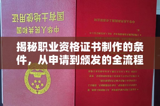 孙吴揭秘职业资格证书制作的条件，从申请到颁发的全流程解析