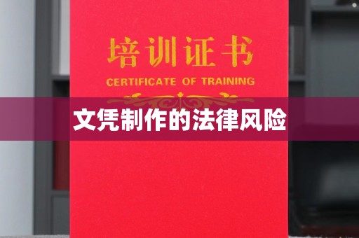 孙吴文凭制作的法律风险