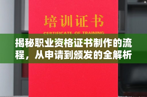 孙吴揭秘职业资格证书制作的流程，从申请到颁发的全解析