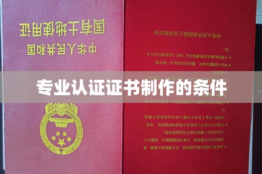 孙吴专业认证证书制作的条件