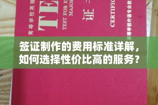 孙吴签证制作的费用标准详解，如何选择性价比高的服务？